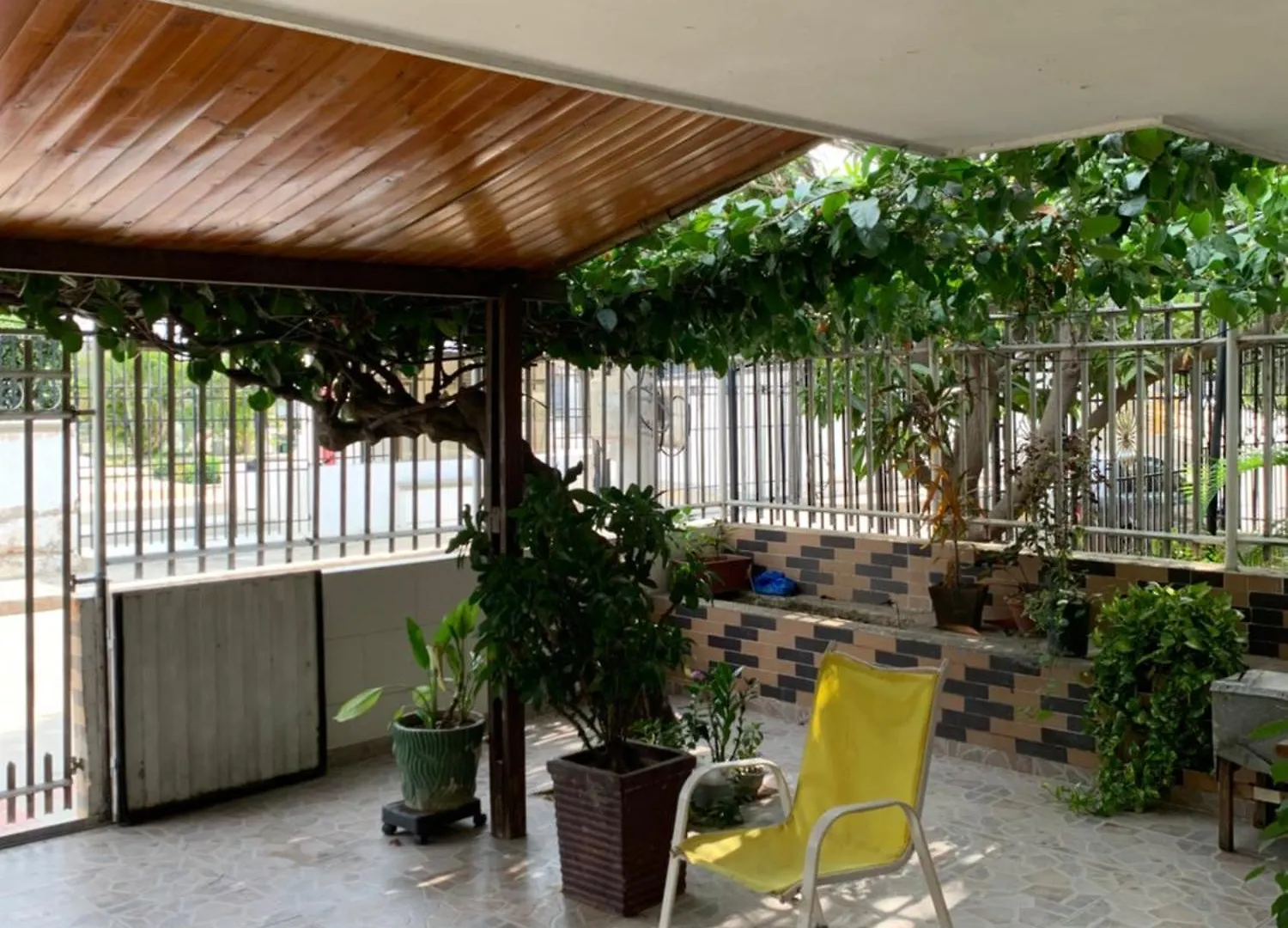 Casa Dahlia Apartment Gaira